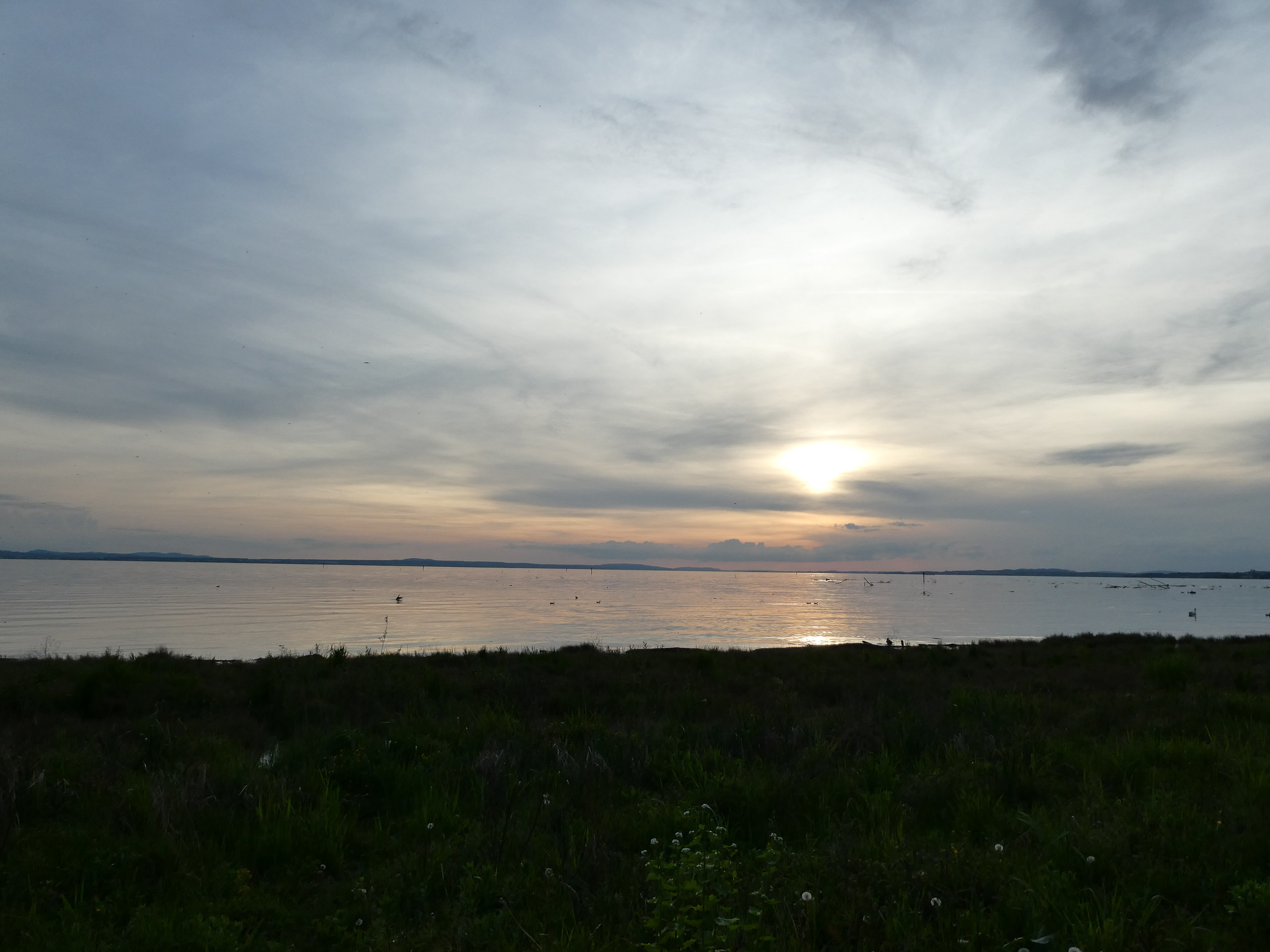 20230506200359 P1000190